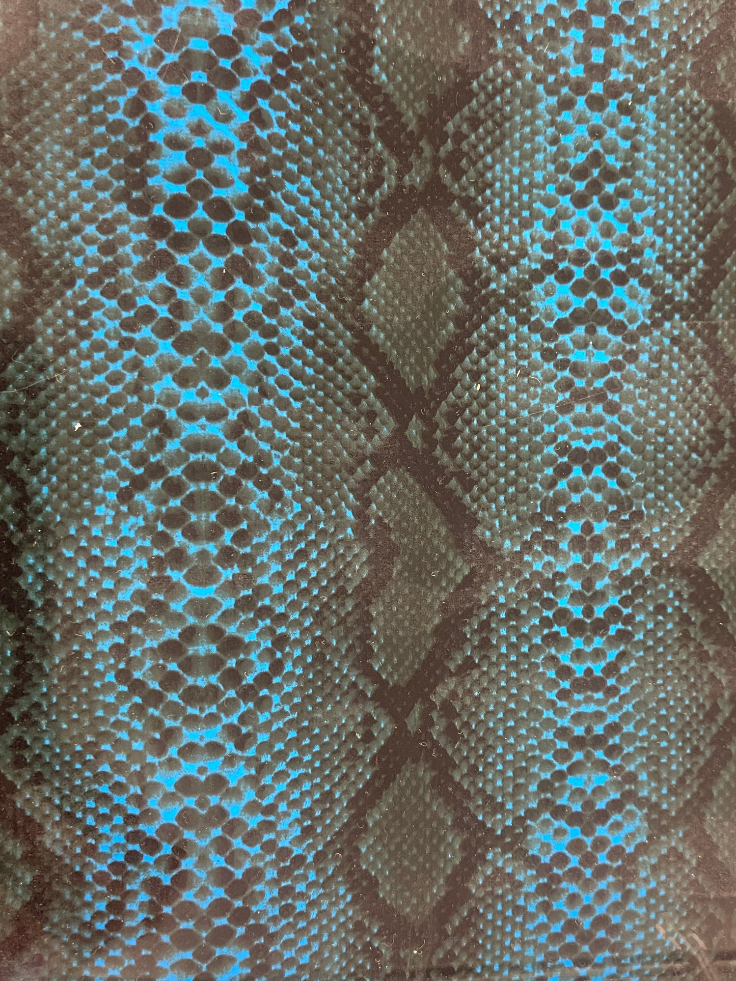 HTV Animal PU Designs - Snake Blue AP017