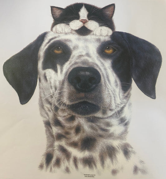Sublimation Prints Custom (EMAIL)